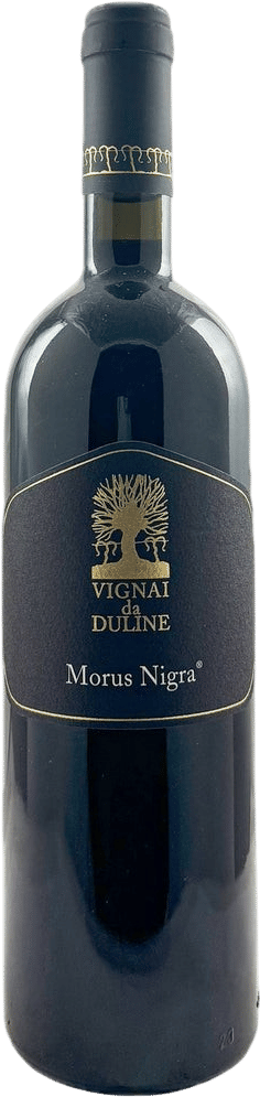 Morus Nigra Refosco dal Peduncolo Rosso