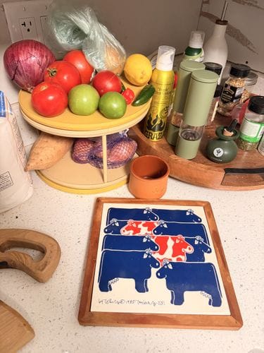 vintage and whimsical hot plates