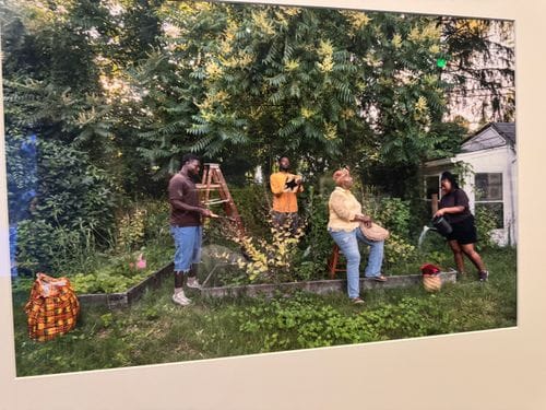 Framing Nature at the MFA, Boston
