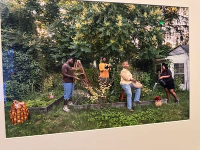 Framing Nature