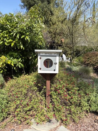 Little Free Libraries