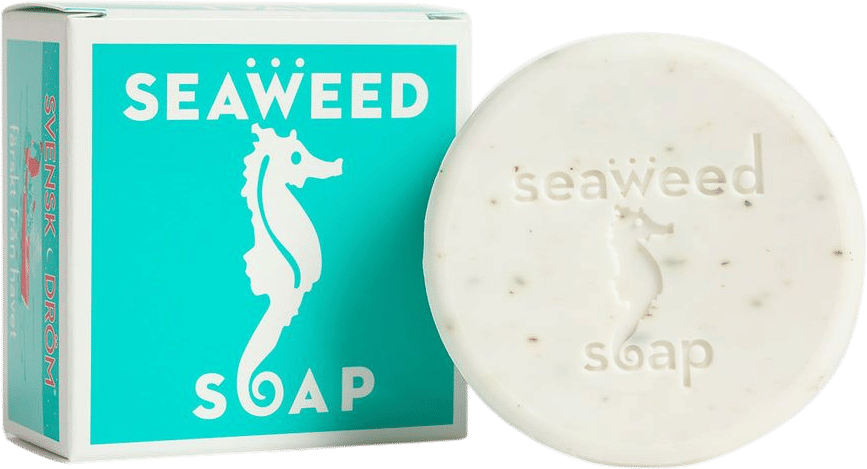 swedish dream seaweed soap