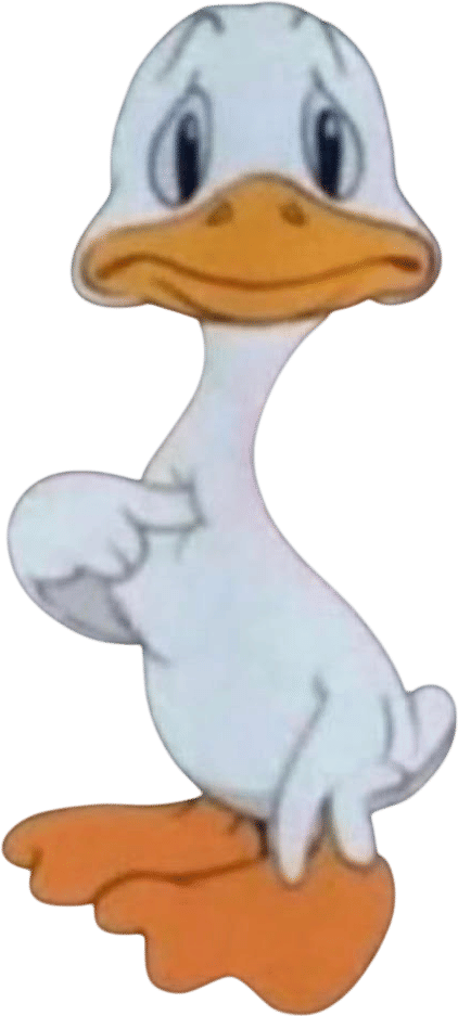 The Ugly Duckling