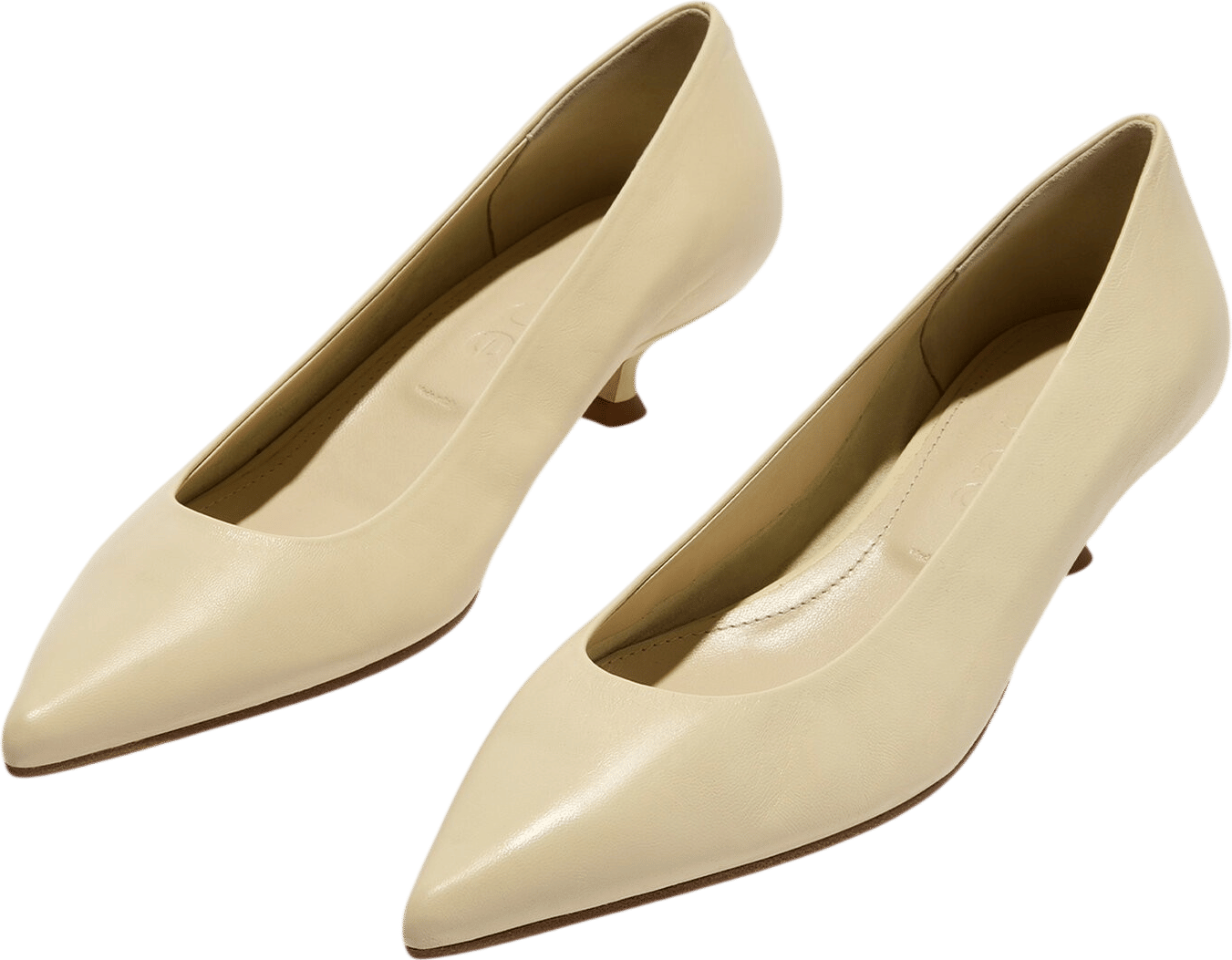 Aeyde Cari Leather Pumps