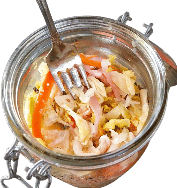 Fermented Curtido