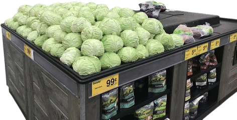 Cabbage