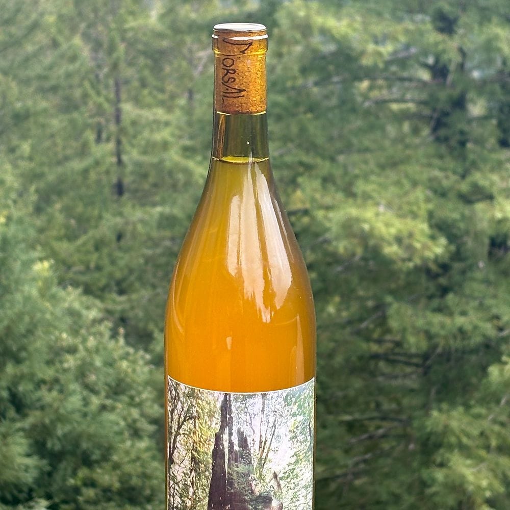 Dorsal Wines 