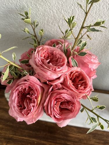 Trader Joe’s flowers