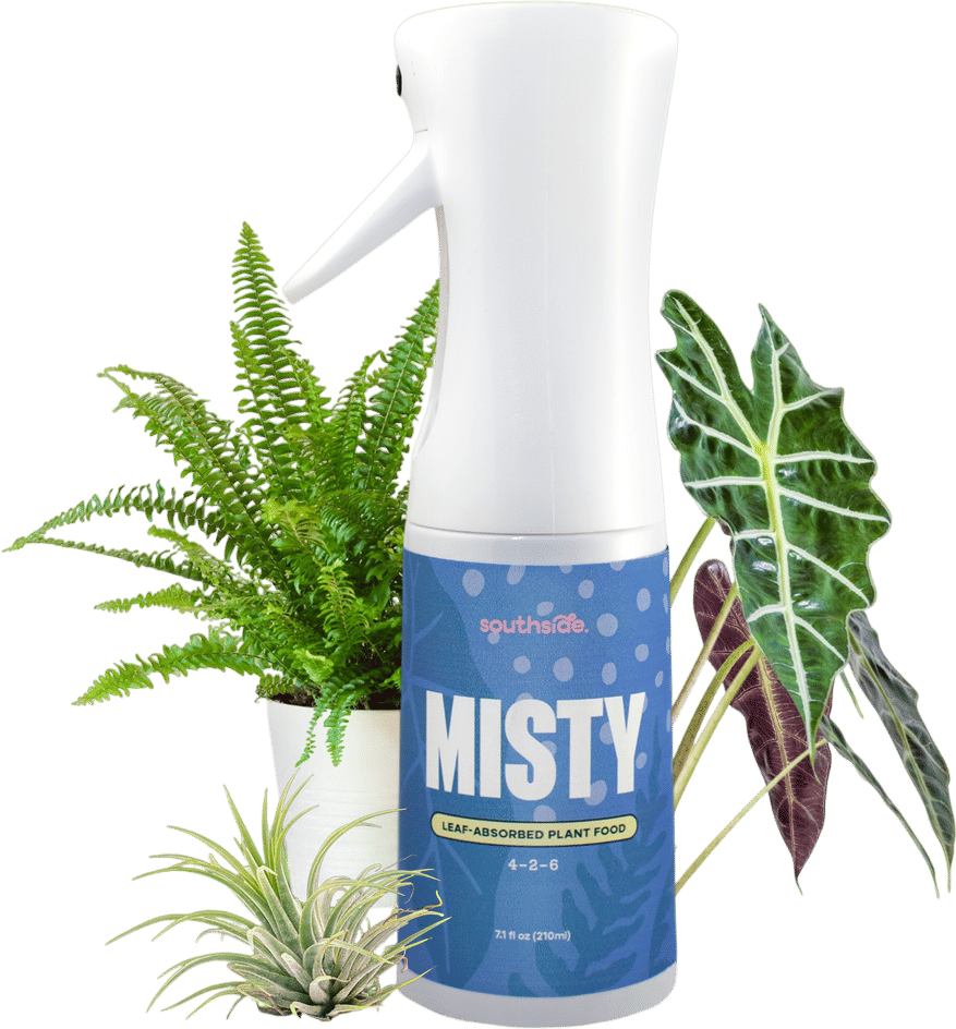 misty/plant/spray