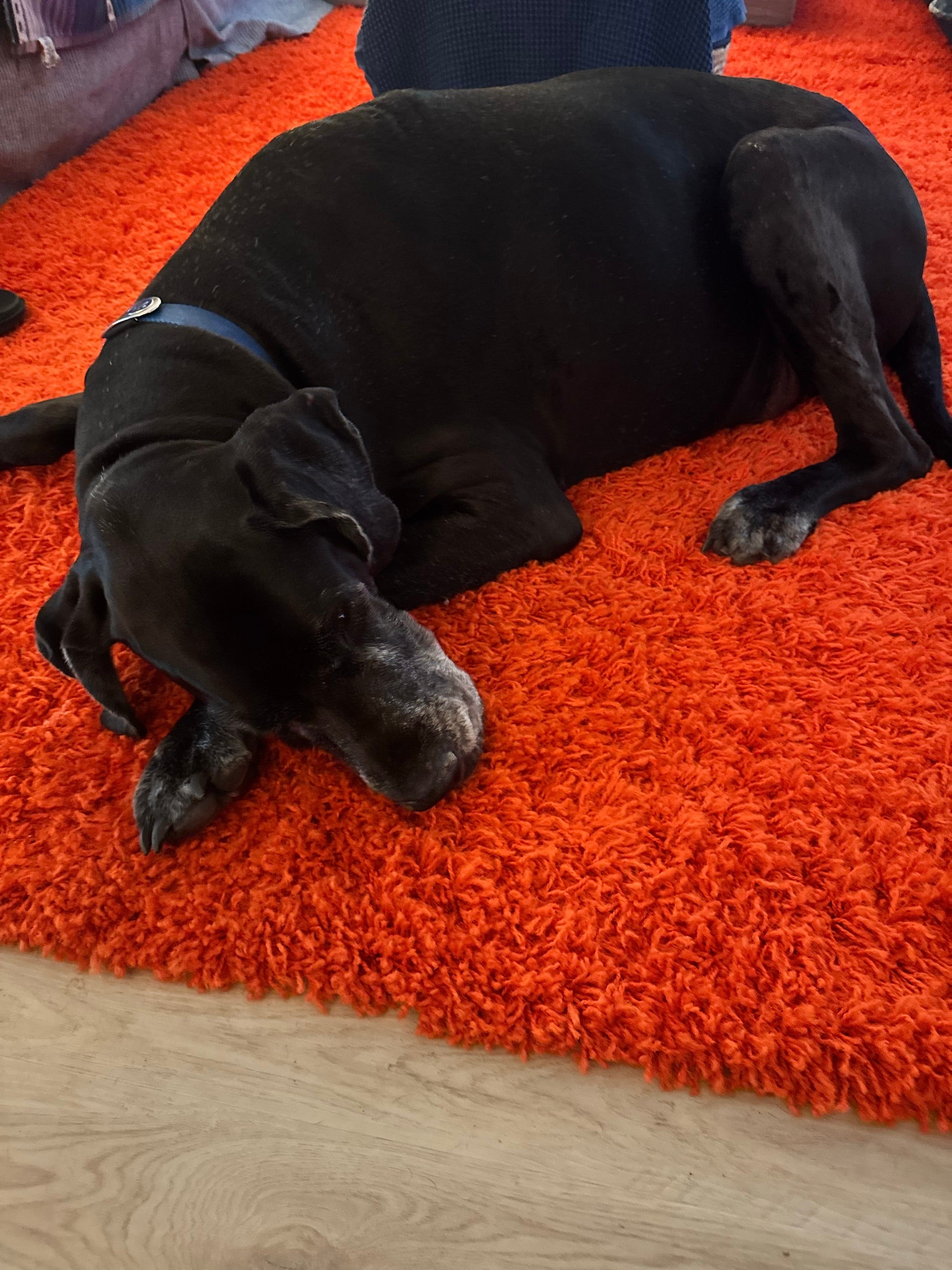 when all else fails, take a nap.