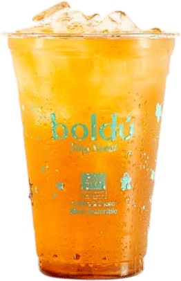 Boldu Peach Ice Tea