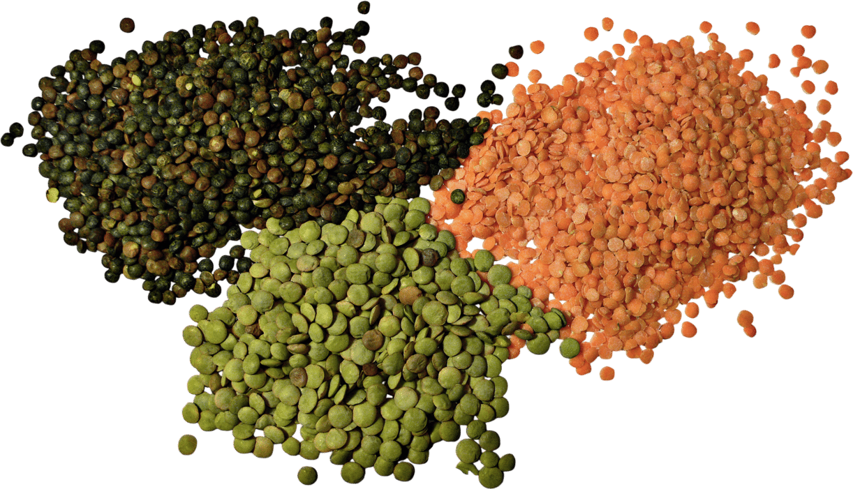 Lentils