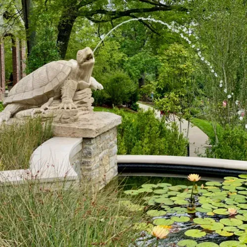 Cheekwood Estate & Gardens