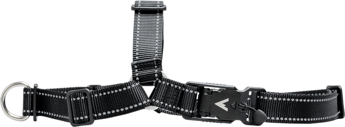 Lifetime No-Pull Dog Harness