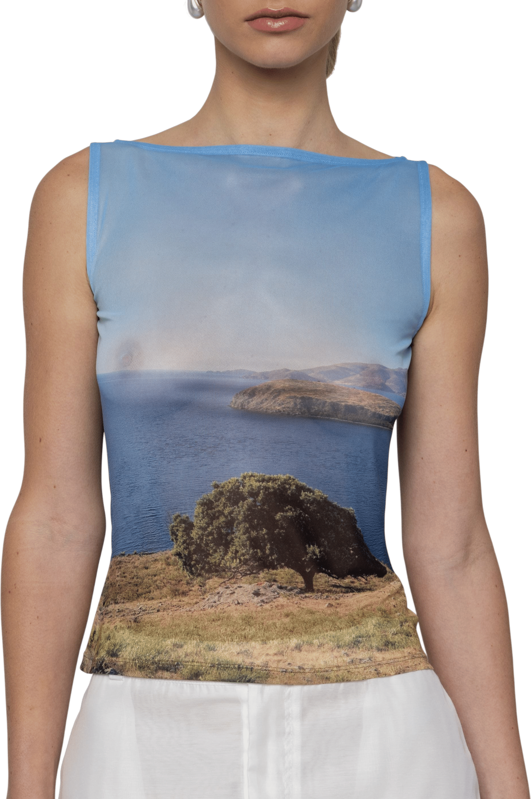 Printed Mesh Boat-Neck Top