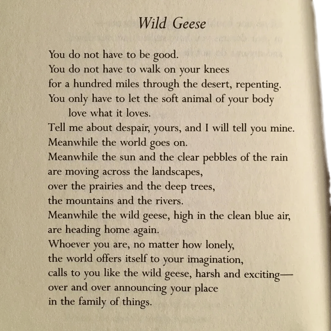 Wild Geese (Mary Oliver)