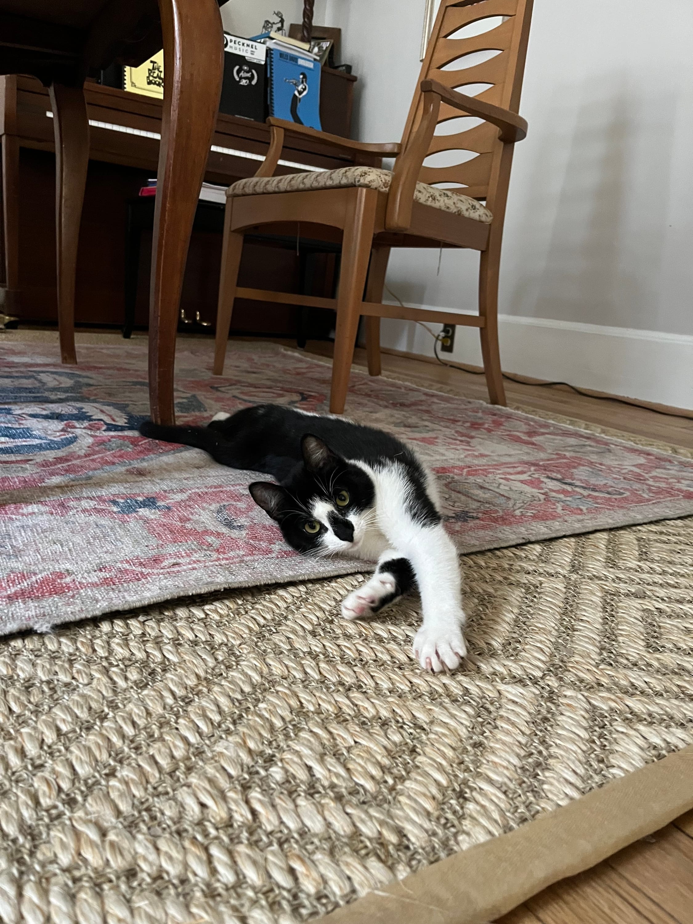 Lying on the floor