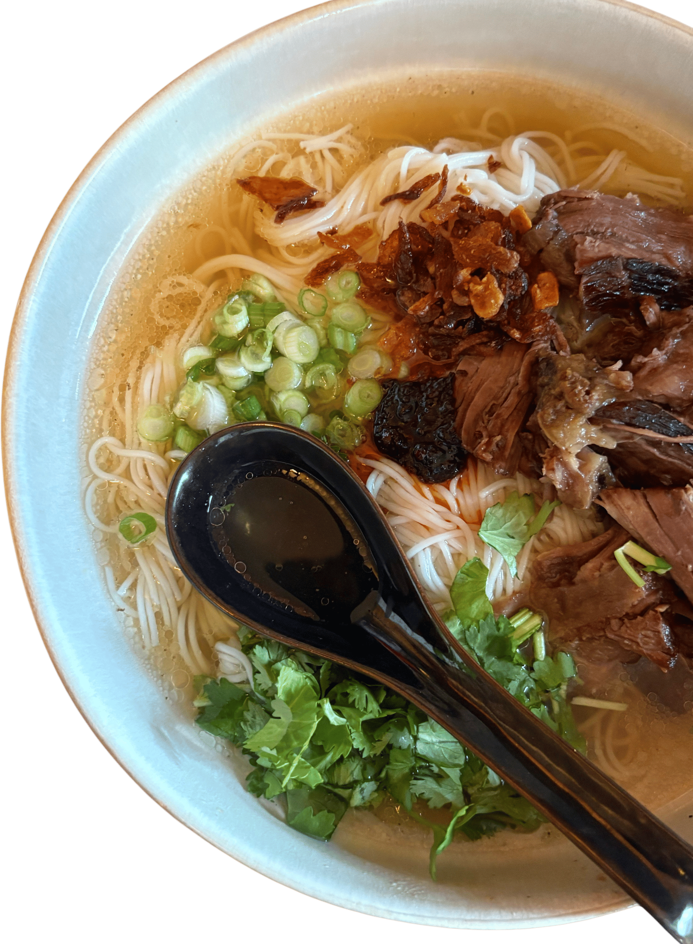 Lazy-ish Short Rib Pho Recipe