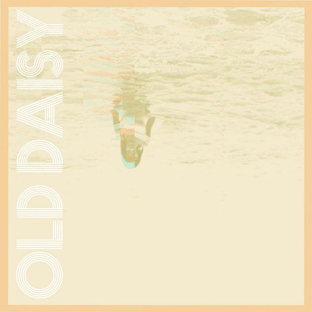 you + the sun - old daisy