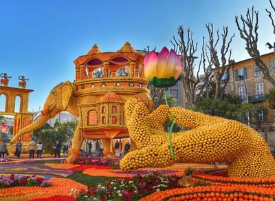 Fête du Citron