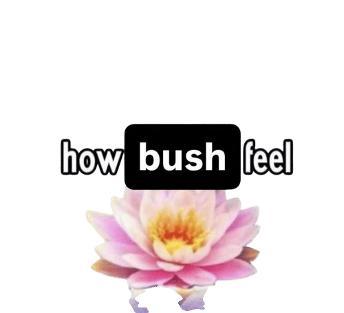 Perfumes for me to think about