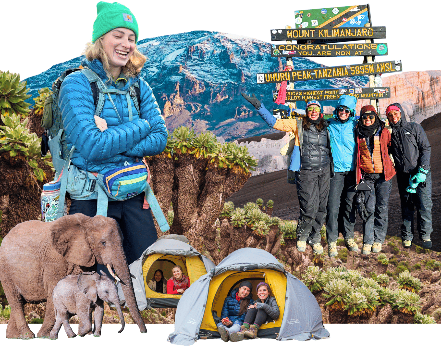 Epic Kilimanjaro Trek + Safari for Women