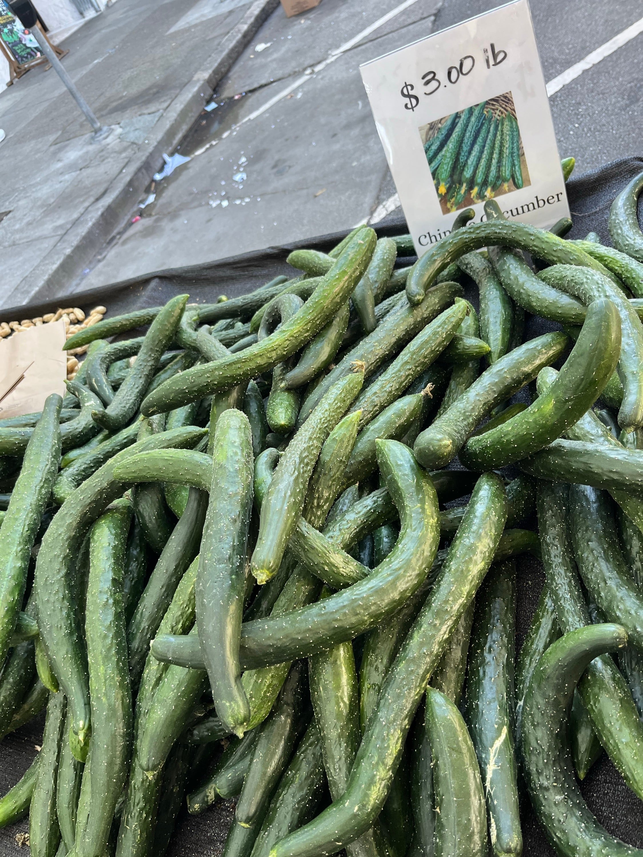 Chinese Cucumber