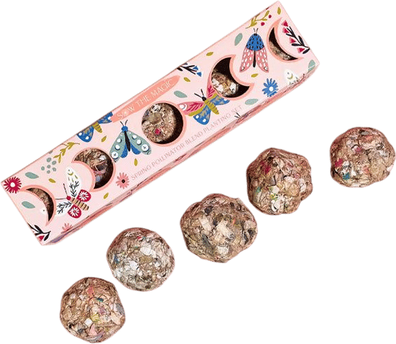 Moon Phase Wildflower Planting Set
