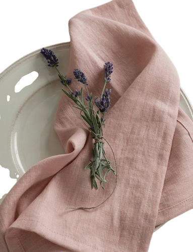 Washed Linen Napkins