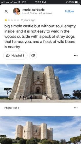 Google Reviews