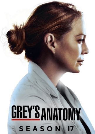 Grey's Anatomy (2005)