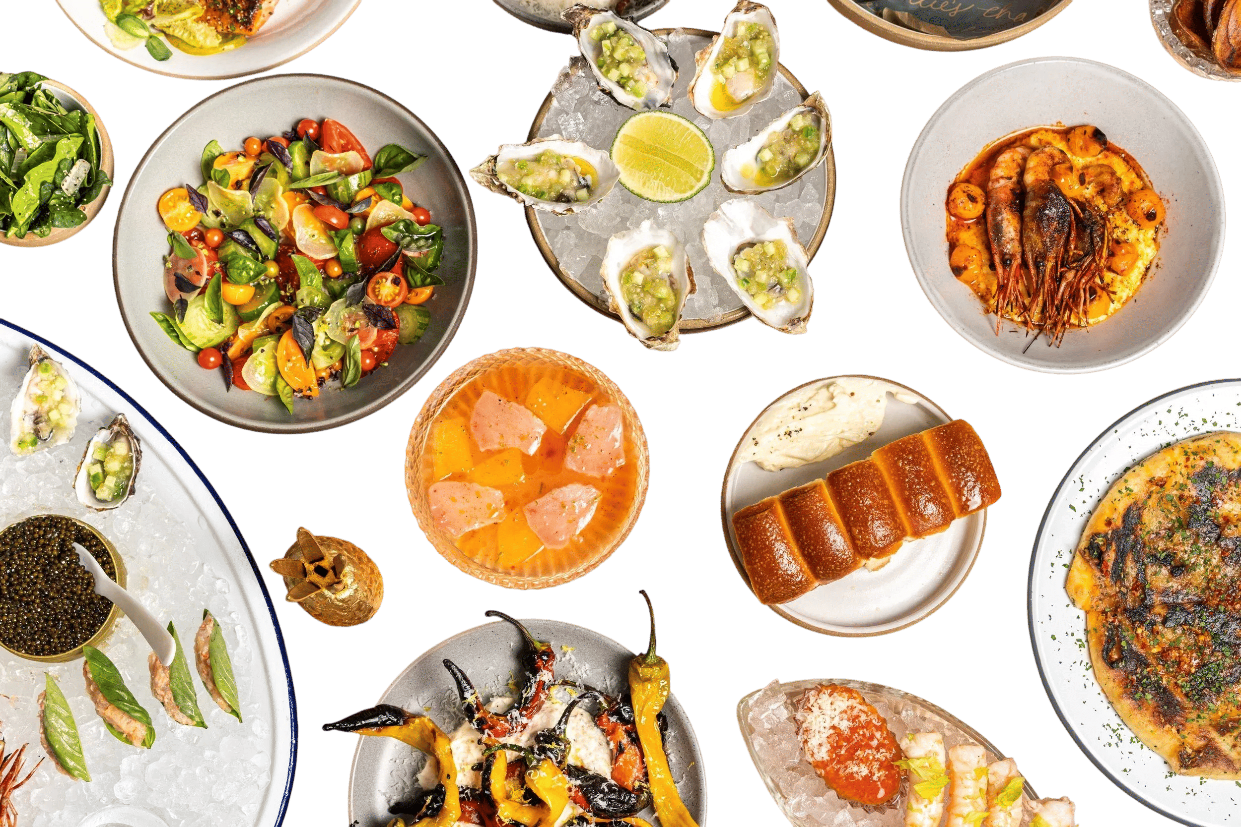 Most Fun Meal in Napa