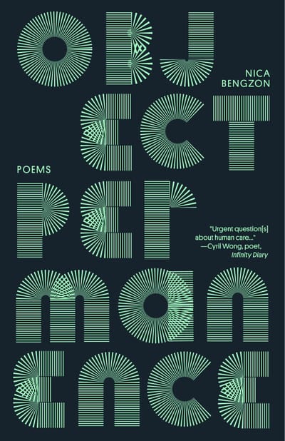 Object Permanence: Poems
