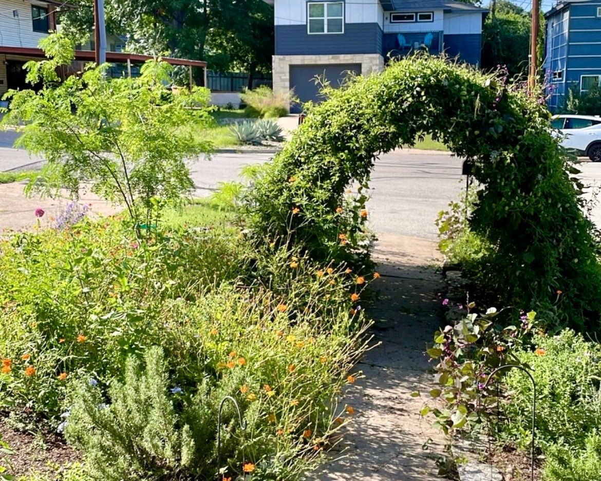 Grow a Pollinator Garden 🌼