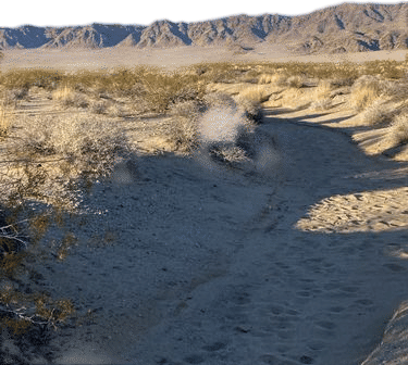 Turkey Flats Trail