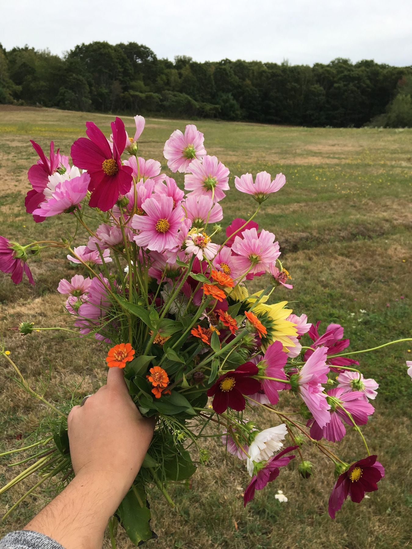 Pick some wildflowers or take a cutting from your garden