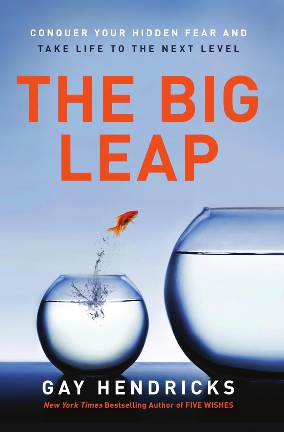 Big Leap, The: Conquer Your Hidden Fear and Take Life to the Next Level