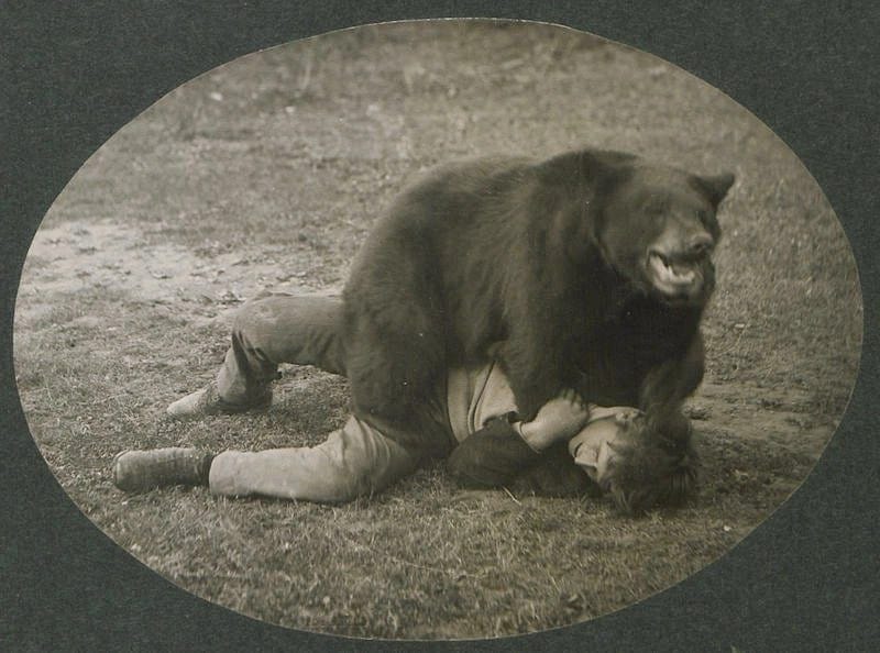 Man or Bear?