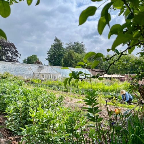Gwernyfed Walled Garden (Brecon, Wales)
