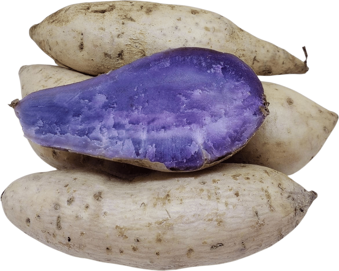 Okinawa sweet potato