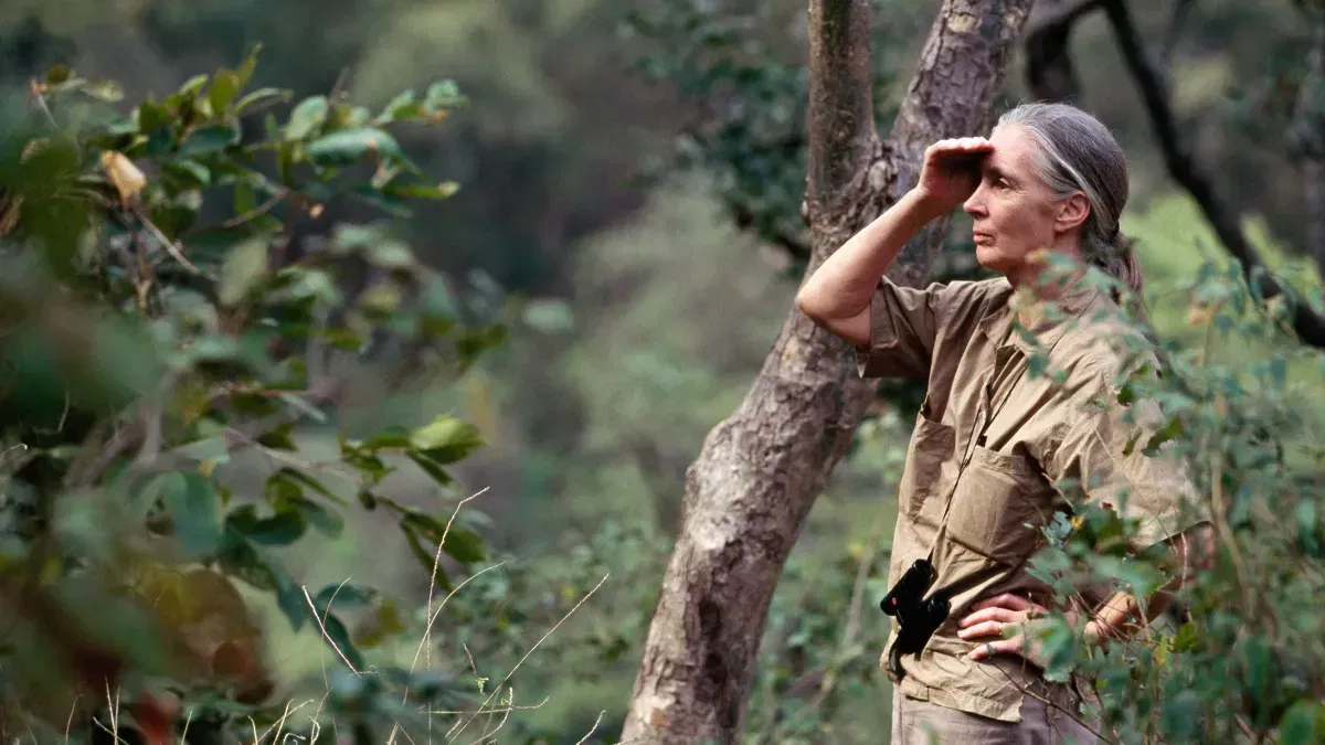 Jane Goodall Yourself
