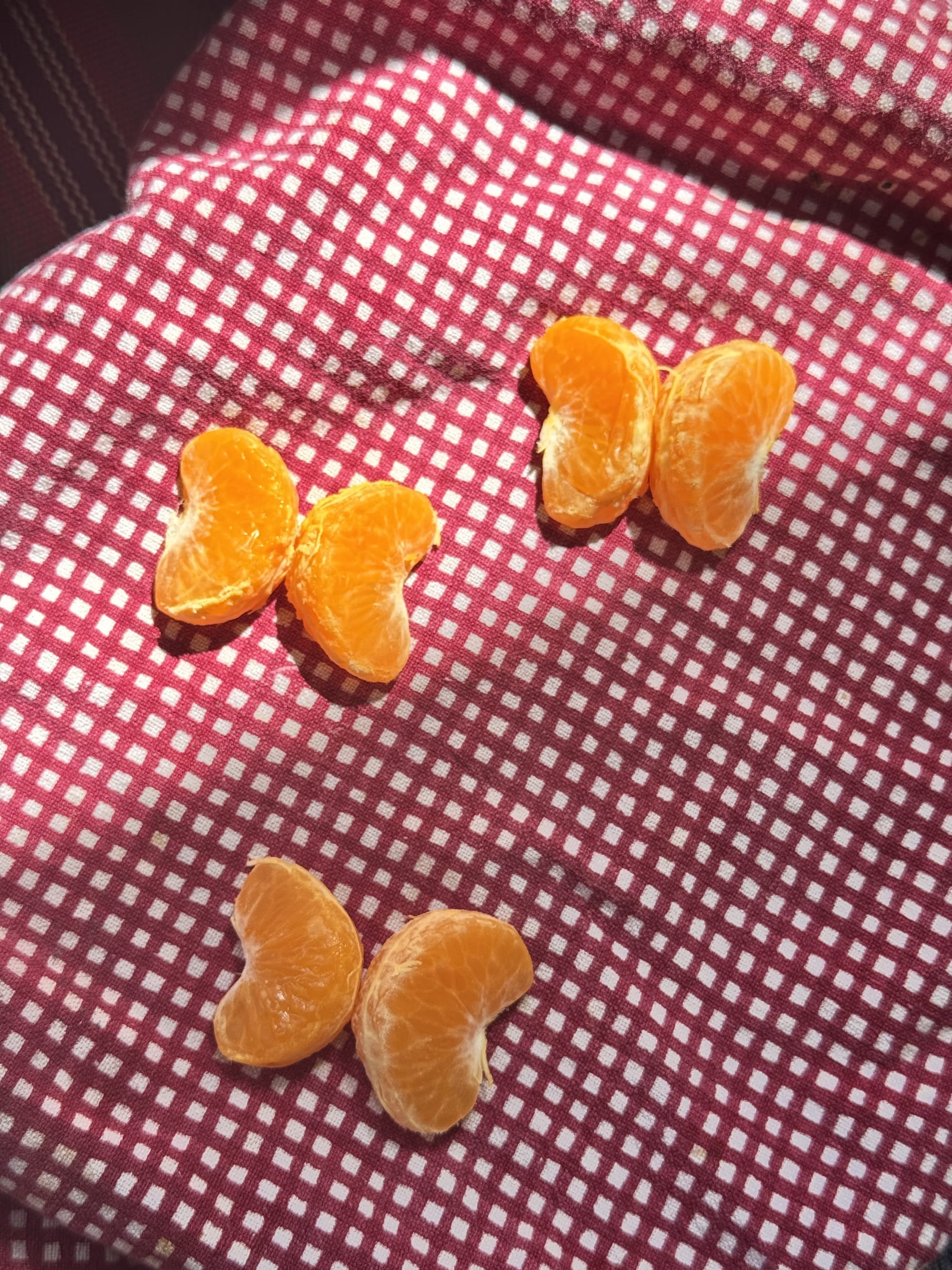 Tangerine Butterflies
