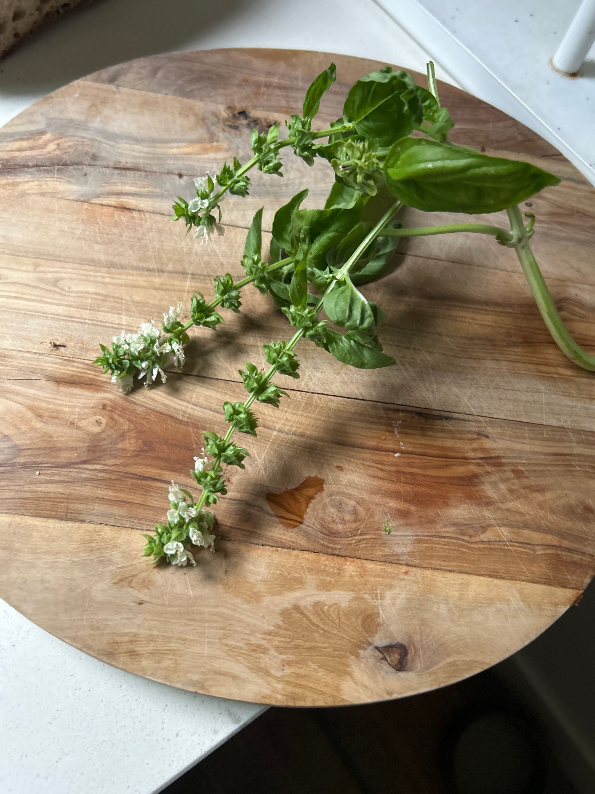 Basil flowers in a cool pitcher of water