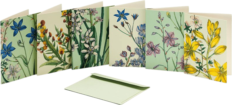 Greeting Card Set