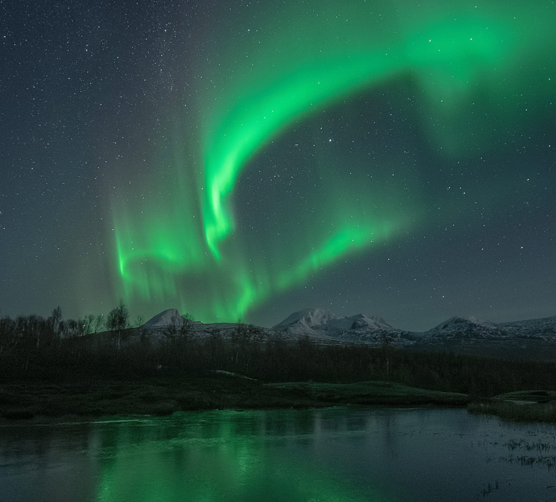 Arctic Experience