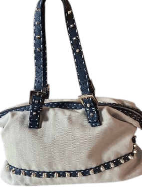 Fendi Selleria Canvas and Leather Bag