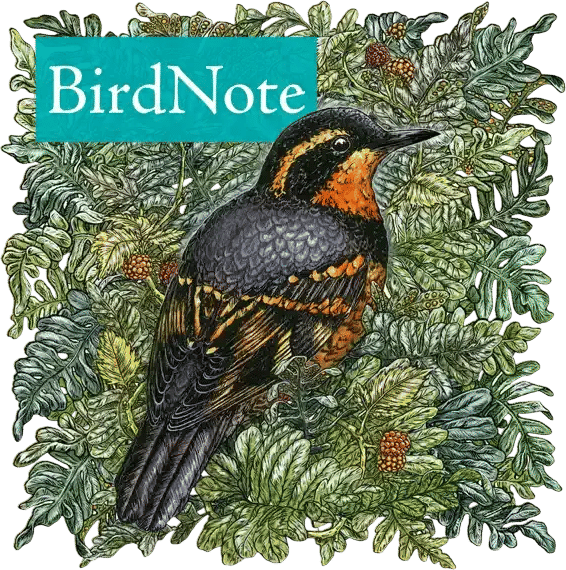 Bird Note Podcast