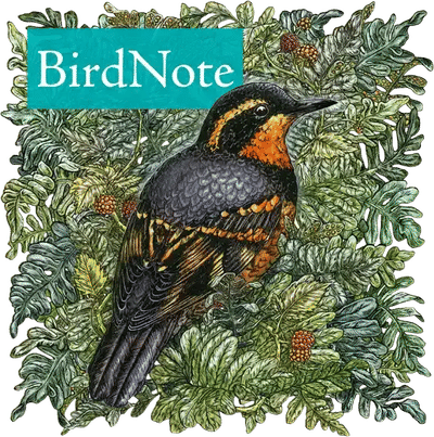 BirdNote