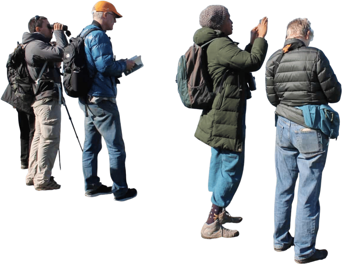 free bird walks with golden gate bird alliance
