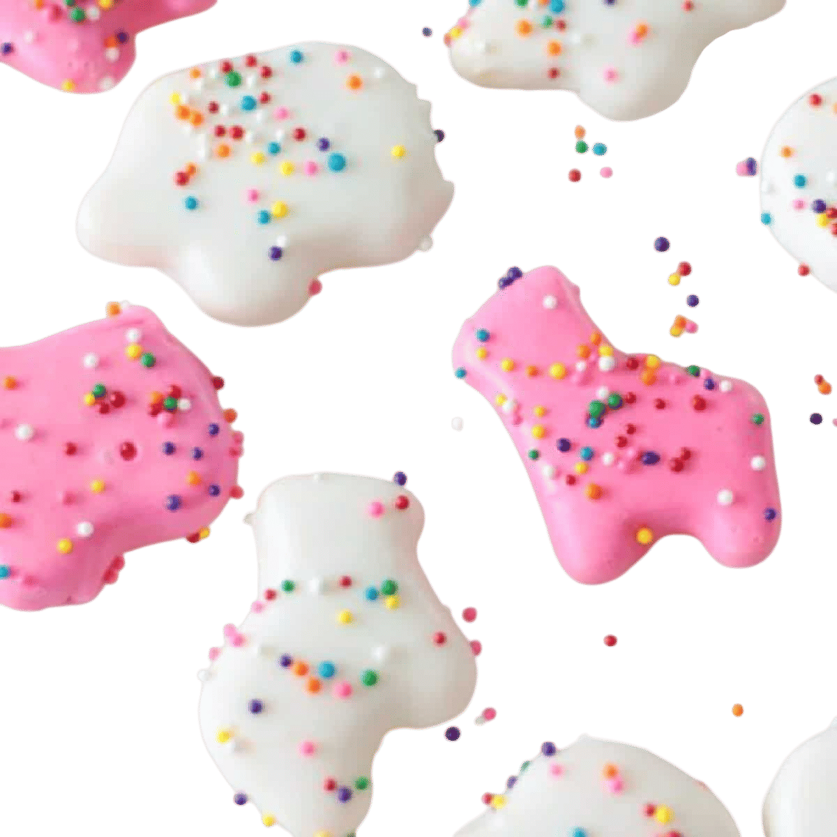 Circus animal cookies